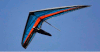 Un deltaplano ala flessibile in volo durante una passata edizione del Trofeo Montegrappa